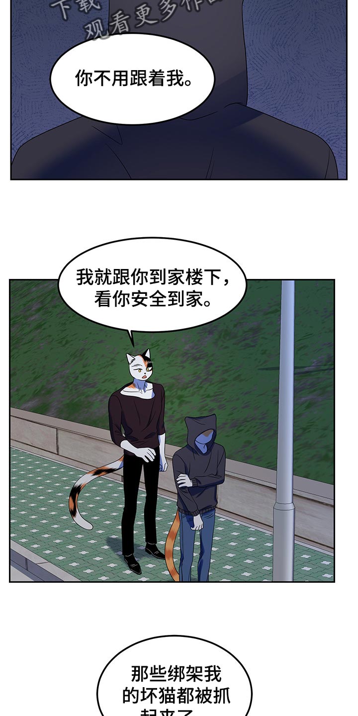 《灵猫欧米伽》漫画最新章节第40章：平凡的生活免费下拉式在线观看章节第【3】张图片