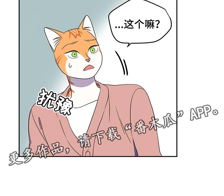 《灵猫欧米伽》漫画最新章节第41章：重新回到平静的生活免费下拉式在线观看章节第【1】张图片