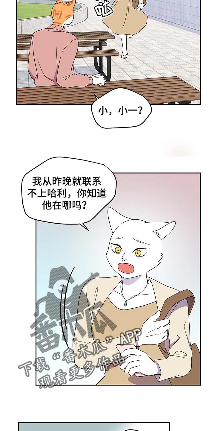 《灵猫欧米伽》漫画最新章节第41章：重新回到平静的生活免费下拉式在线观看章节第【2】张图片