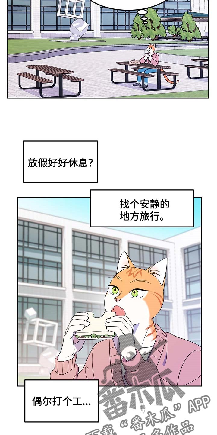 《灵猫欧米伽》漫画最新章节第41章：重新回到平静的生活免费下拉式在线观看章节第【8】张图片