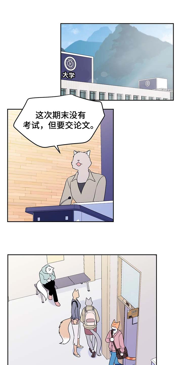 《灵猫欧米伽》漫画最新章节第41章：重新回到平静的生活免费下拉式在线观看章节第【11】张图片