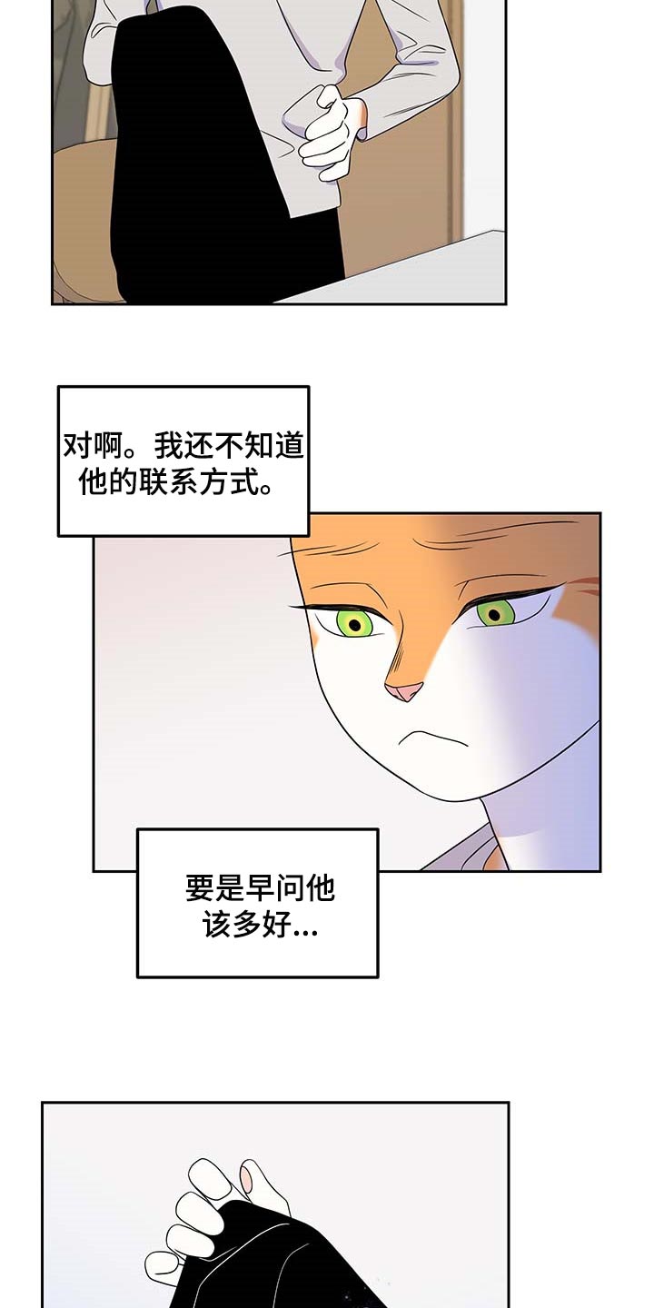 《灵猫欧米伽》漫画最新章节第42章：联系方式免费下拉式在线观看章节第【6】张图片