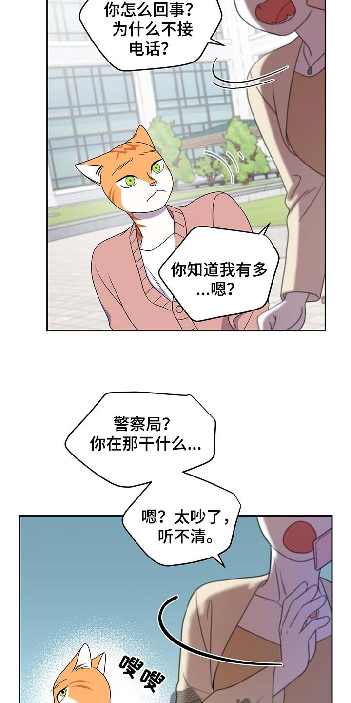 《灵猫欧米伽》漫画最新章节第42章：联系方式免费下拉式在线观看章节第【18】张图片