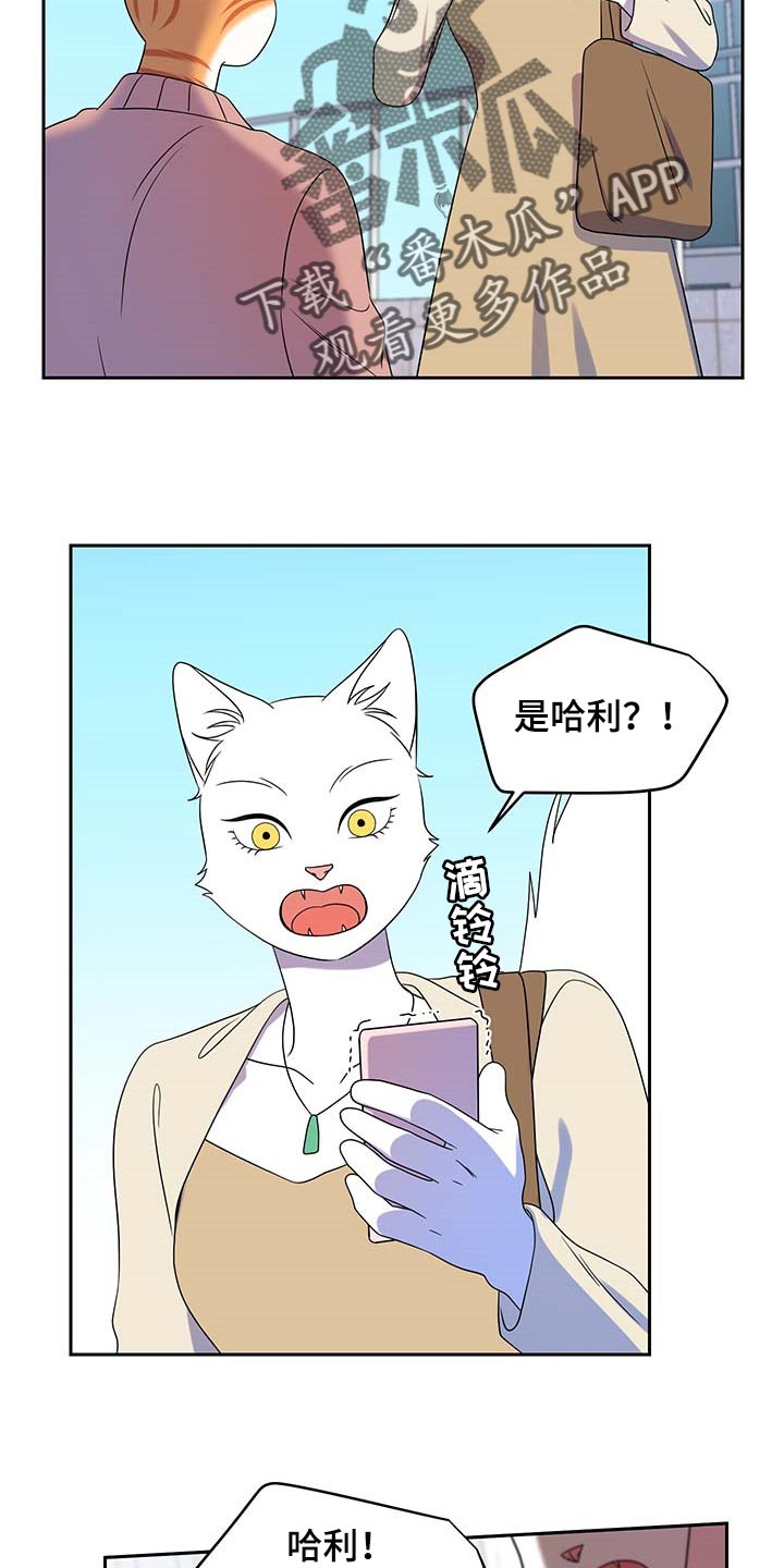 《灵猫欧米伽》漫画最新章节第42章：联系方式免费下拉式在线观看章节第【19】张图片