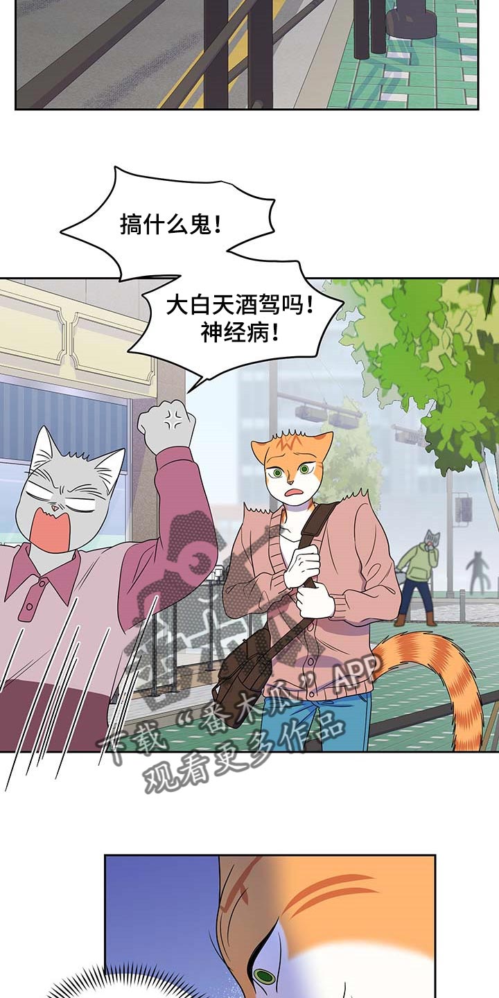 《灵猫欧米伽》漫画最新章节第42章：联系方式免费下拉式在线观看章节第【12】张图片