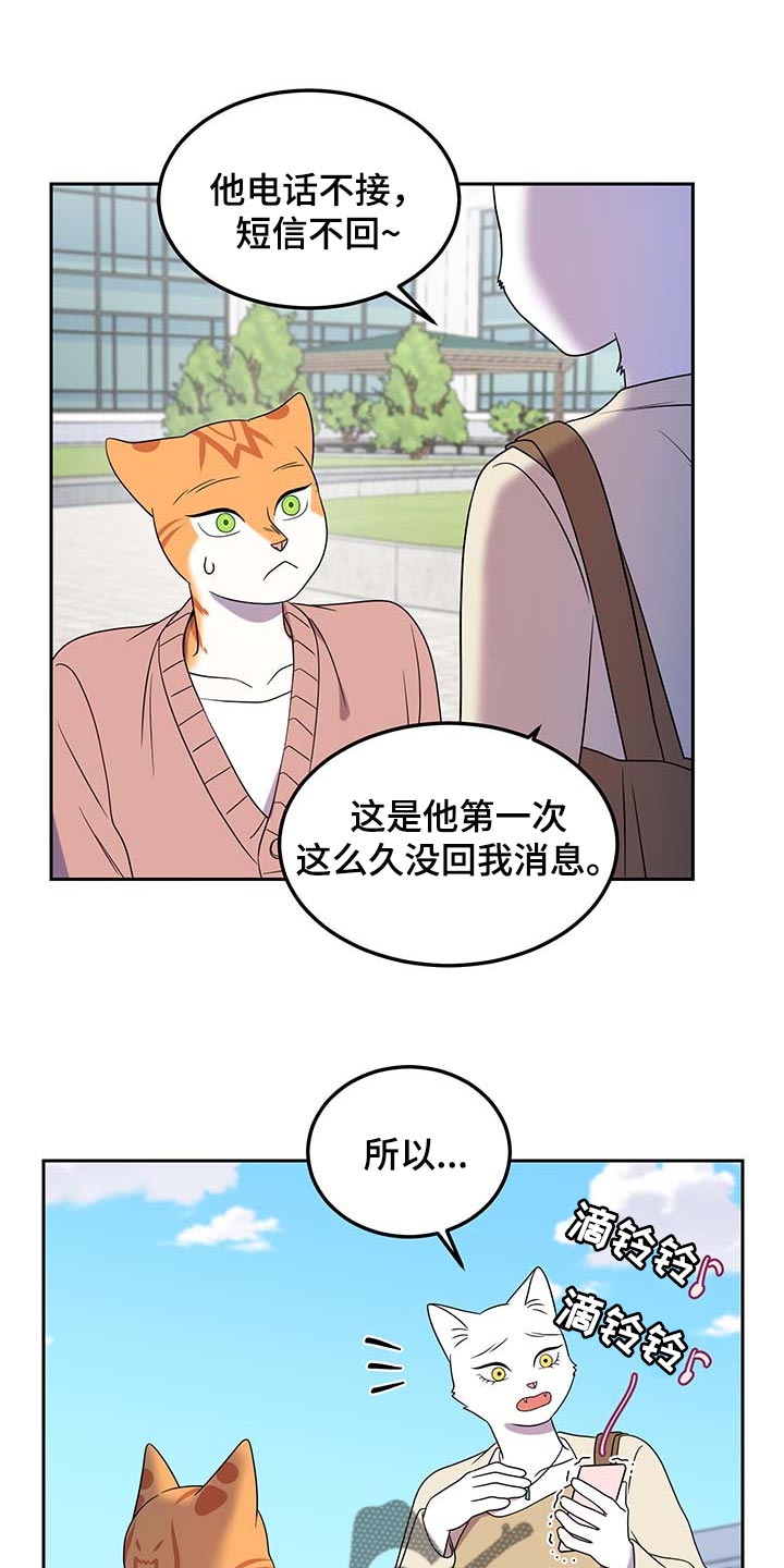 《灵猫欧米伽》漫画最新章节第42章：联系方式免费下拉式在线观看章节第【20】张图片