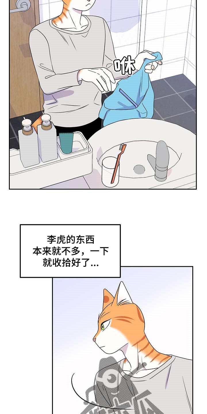 《灵猫欧米伽》漫画最新章节第42章：联系方式免费下拉式在线观看章节第【8】张图片