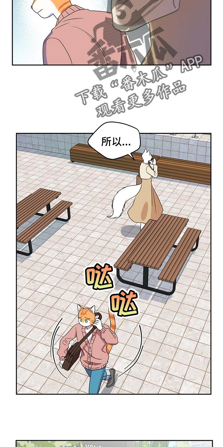 《灵猫欧米伽》漫画最新章节第42章：联系方式免费下拉式在线观看章节第【17】张图片