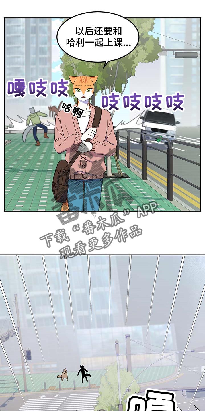 《灵猫欧米伽》漫画最新章节第42章：联系方式免费下拉式在线观看章节第【15】张图片