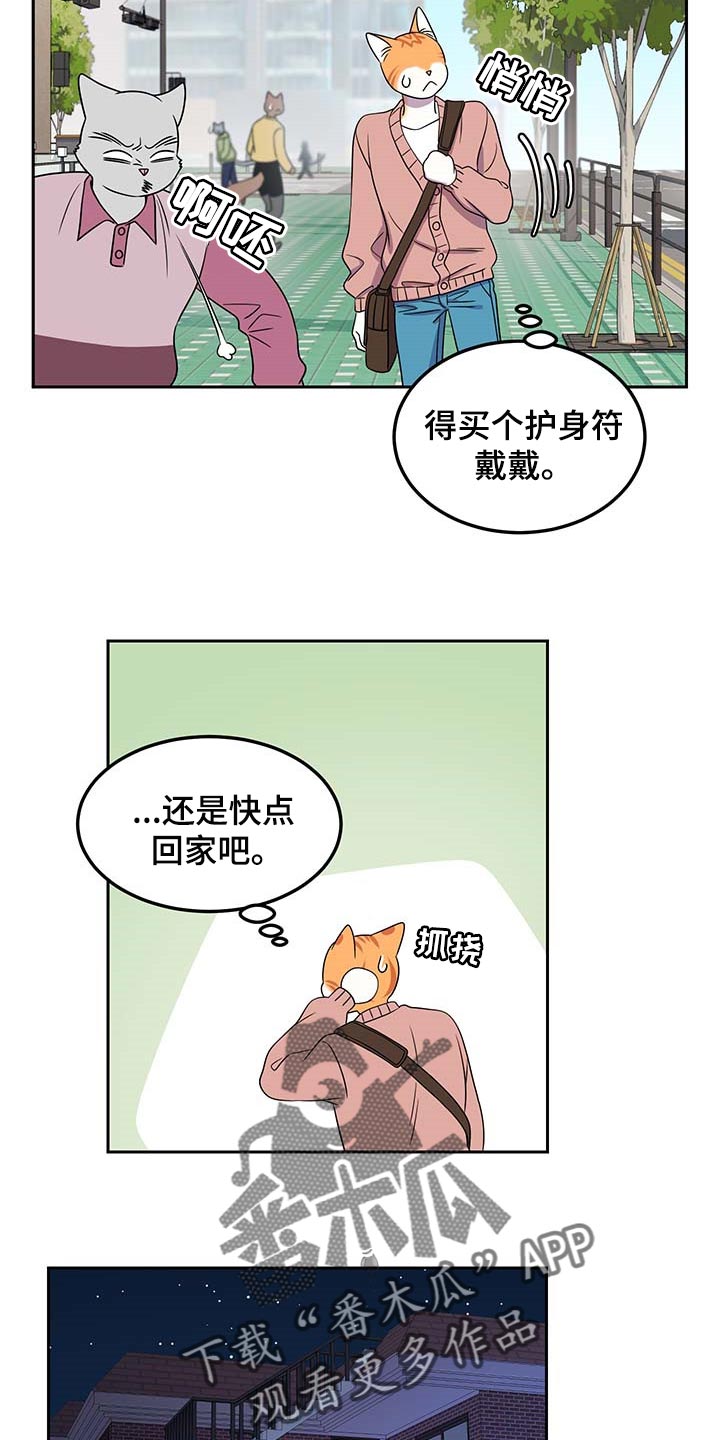 《灵猫欧米伽》漫画最新章节第42章：联系方式免费下拉式在线观看章节第【10】张图片