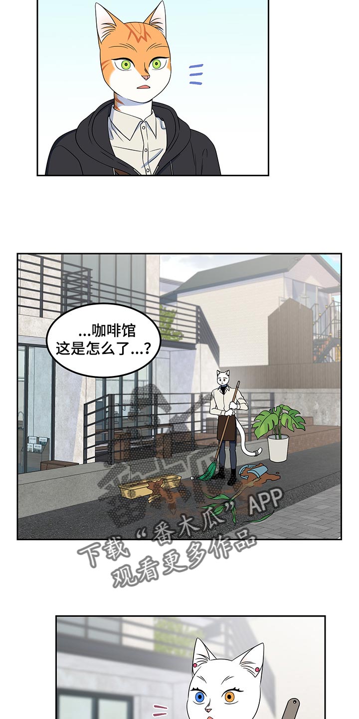 《灵猫欧米伽》漫画最新章节第43章：世道不太平免费下拉式在线观看章节第【15】张图片