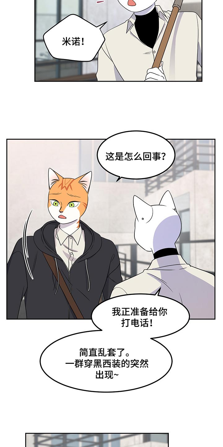 《灵猫欧米伽》漫画最新章节第43章：世道不太平免费下拉式在线观看章节第【14】张图片