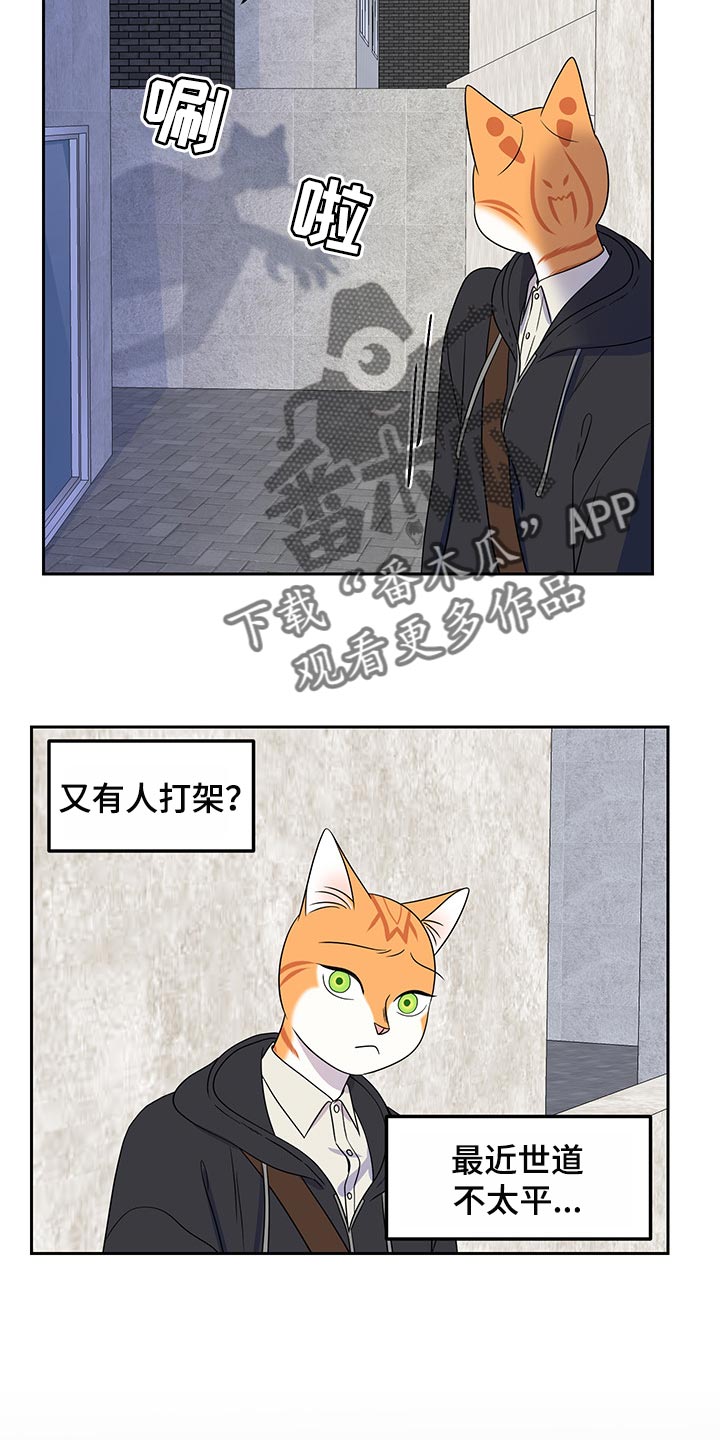 《灵猫欧米伽》漫画最新章节第43章：世道不太平免费下拉式在线观看章节第【4】张图片