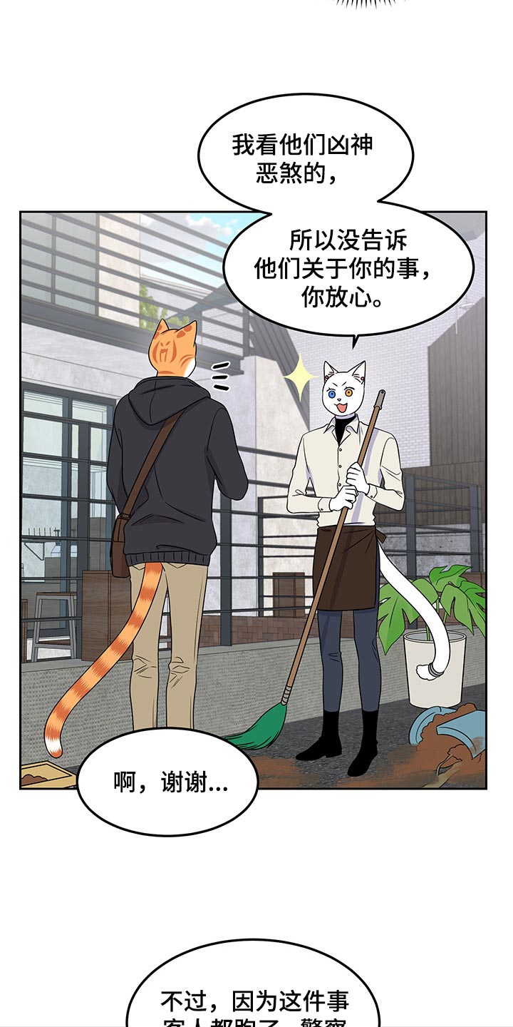 《灵猫欧米伽》漫画最新章节第43章：世道不太平免费下拉式在线观看章节第【12】张图片