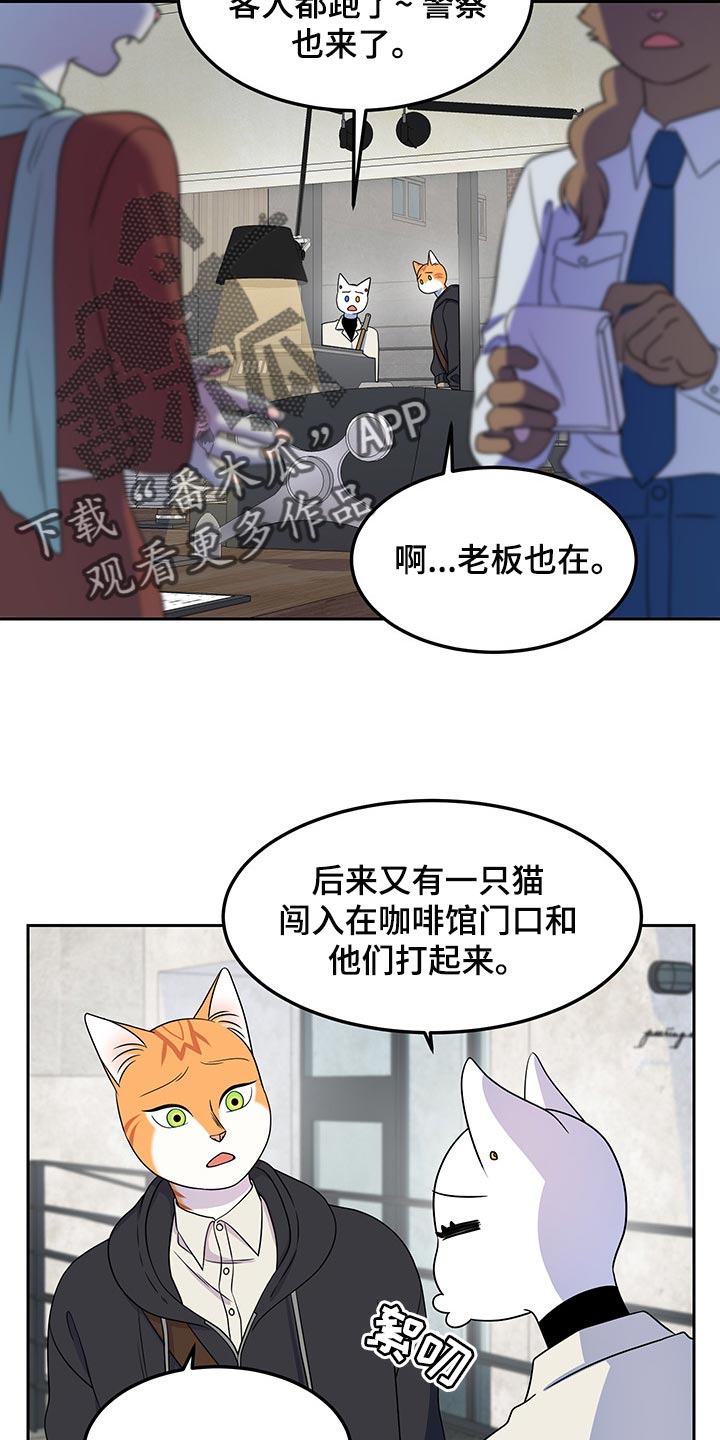 《灵猫欧米伽》漫画最新章节第43章：世道不太平免费下拉式在线观看章节第【11】张图片