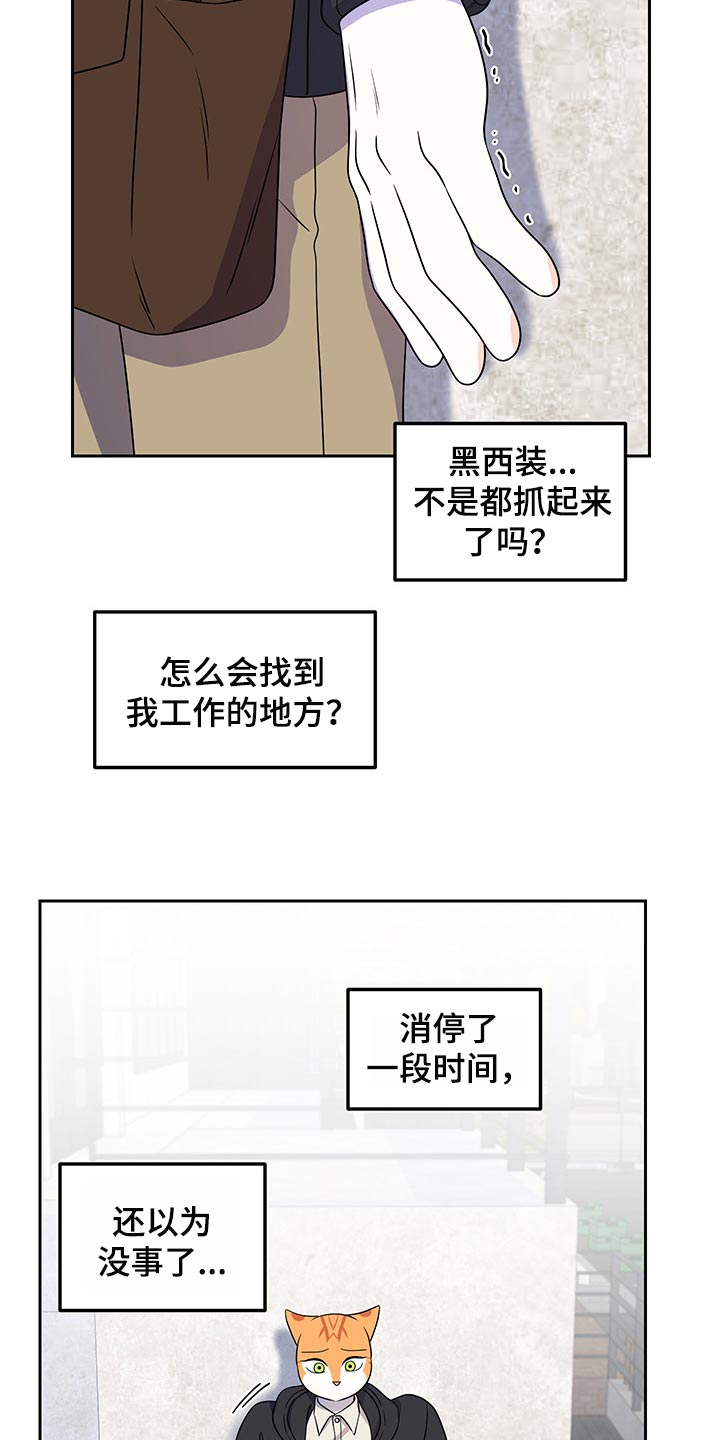 《灵猫欧米伽》漫画最新章节第43章：世道不太平免费下拉式在线观看章节第【6】张图片