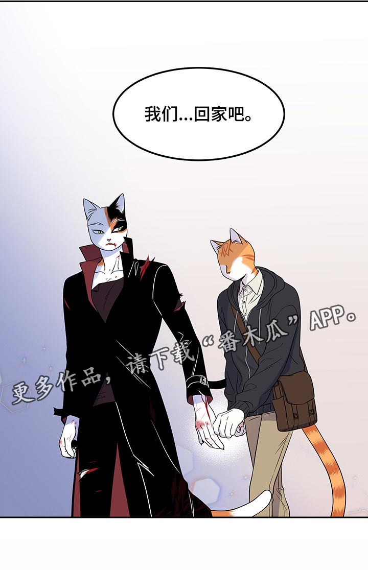 《灵猫欧米伽》漫画最新章节第44章：我们回家吧免费下拉式在线观看章节第【1】张图片