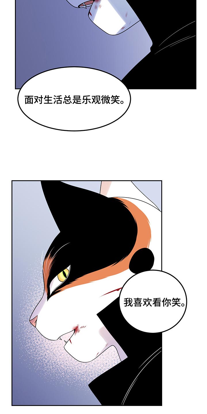 《灵猫欧米伽》漫画最新章节第44章：我们回家吧免费下拉式在线观看章节第【5】张图片