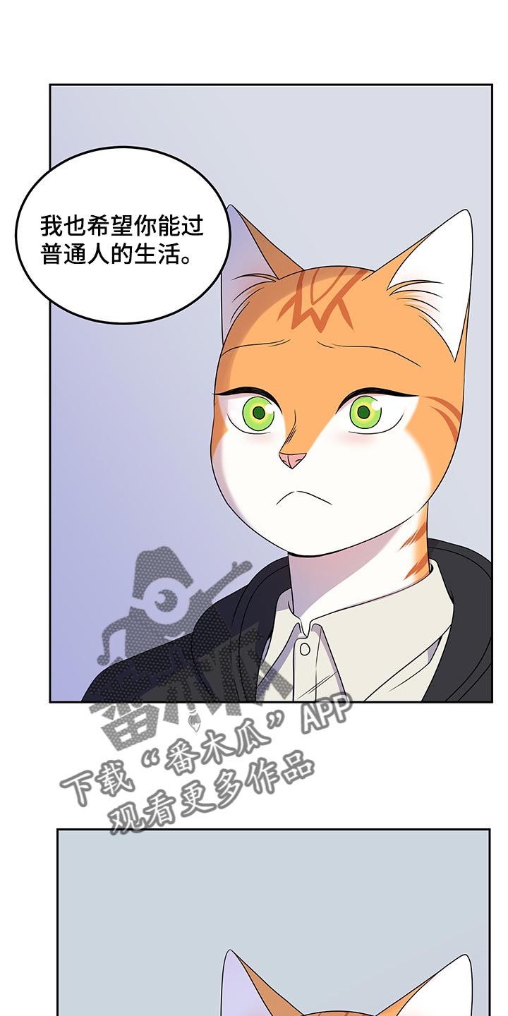 《灵猫欧米伽》漫画最新章节第44章：我们回家吧免费下拉式在线观看章节第【4】张图片