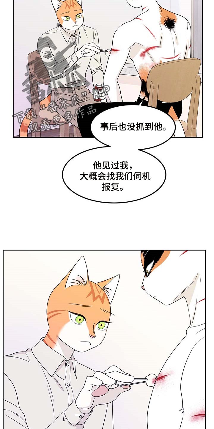 《灵猫欧米伽》漫画最新章节第45章：别哭免费下拉式在线观看章节第【12】张图片