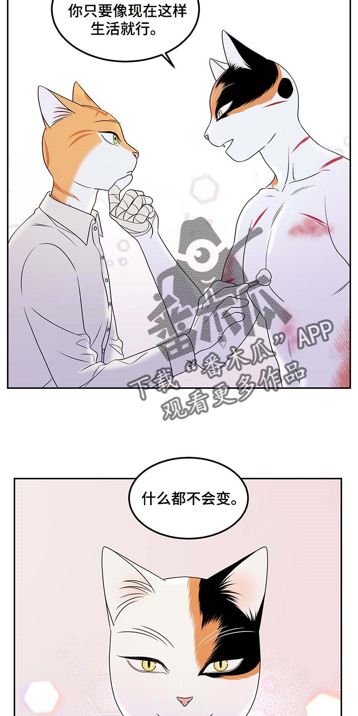 《灵猫欧米伽》漫画最新章节第45章：别哭免费下拉式在线观看章节第【10】张图片