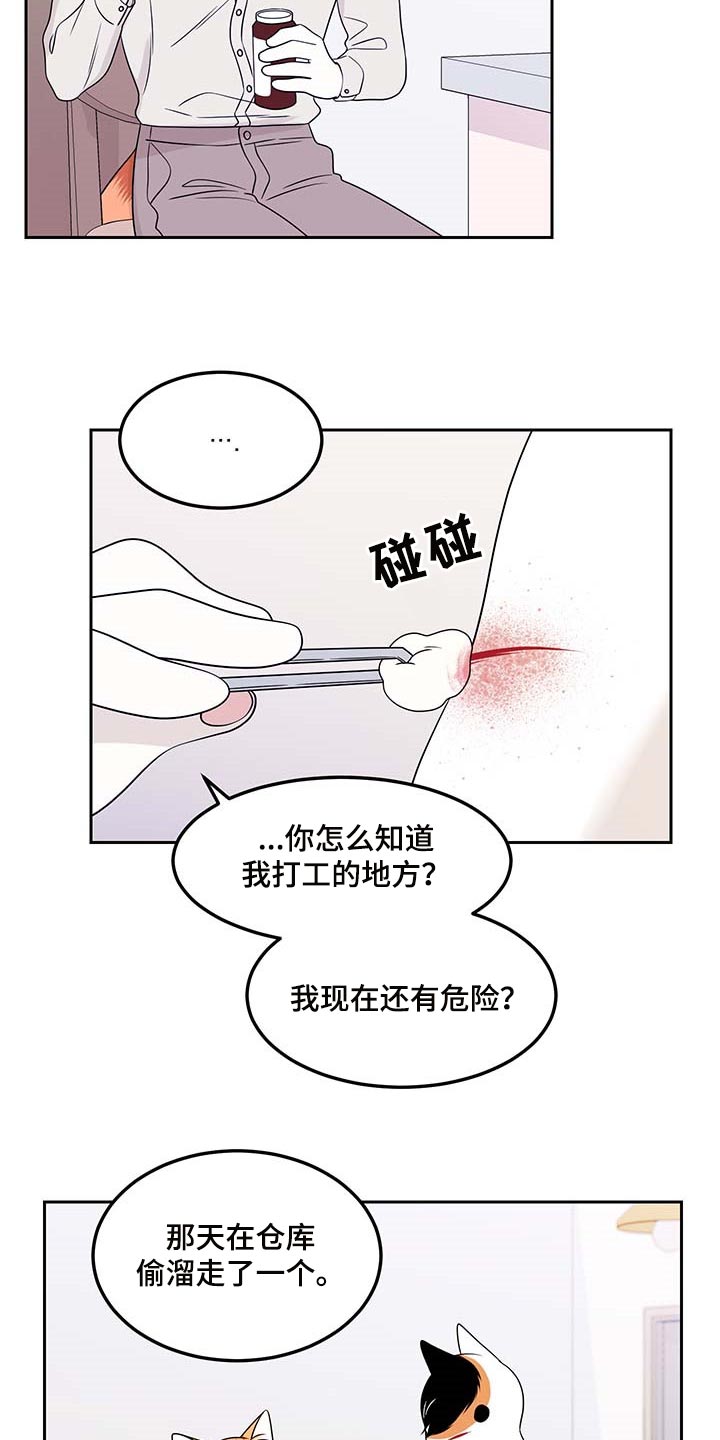 《灵猫欧米伽》漫画最新章节第45章：别哭免费下拉式在线观看章节第【13】张图片