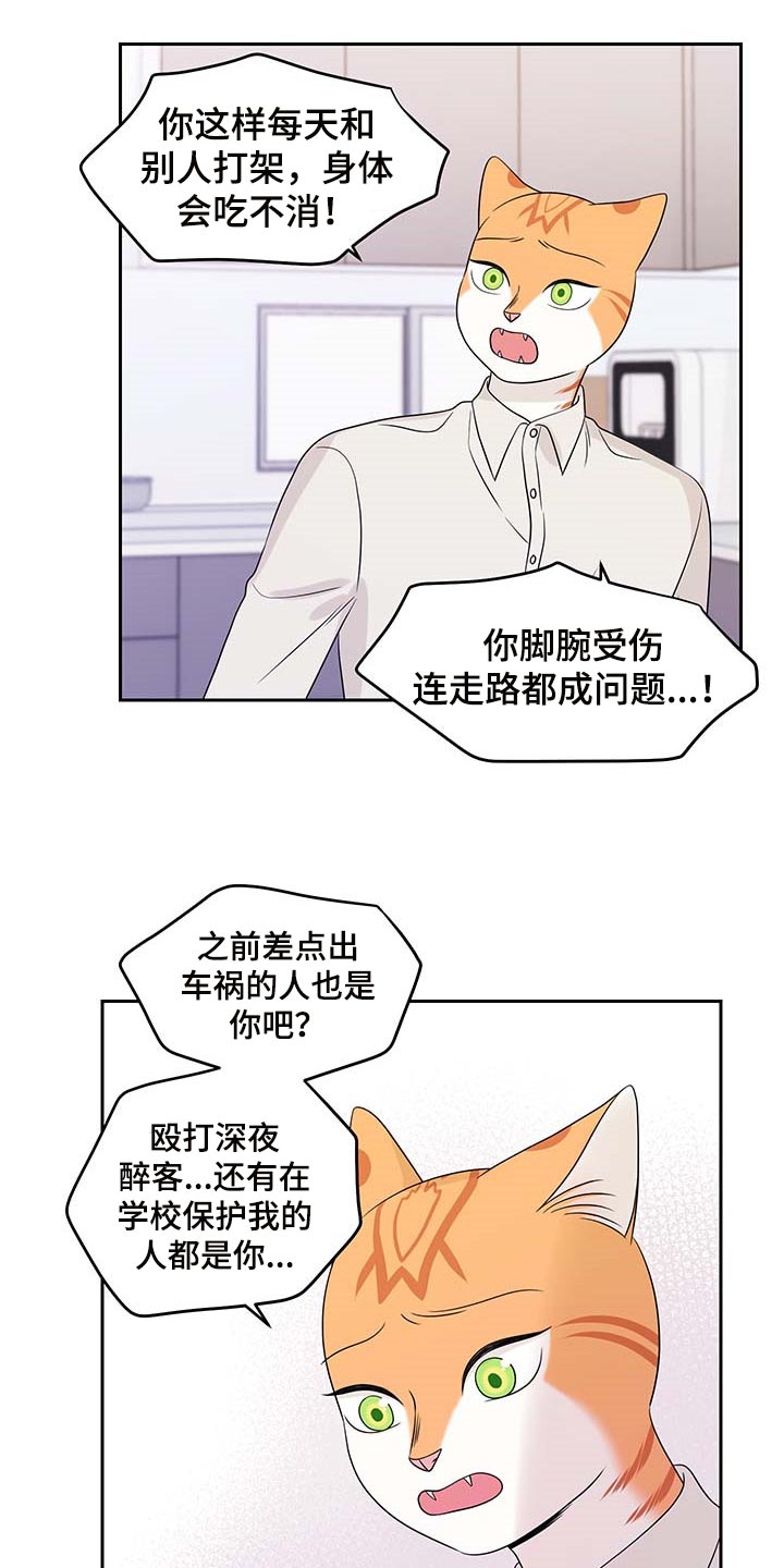 《灵猫欧米伽》漫画最新章节第45章：别哭免费下拉式在线观看章节第【5】张图片