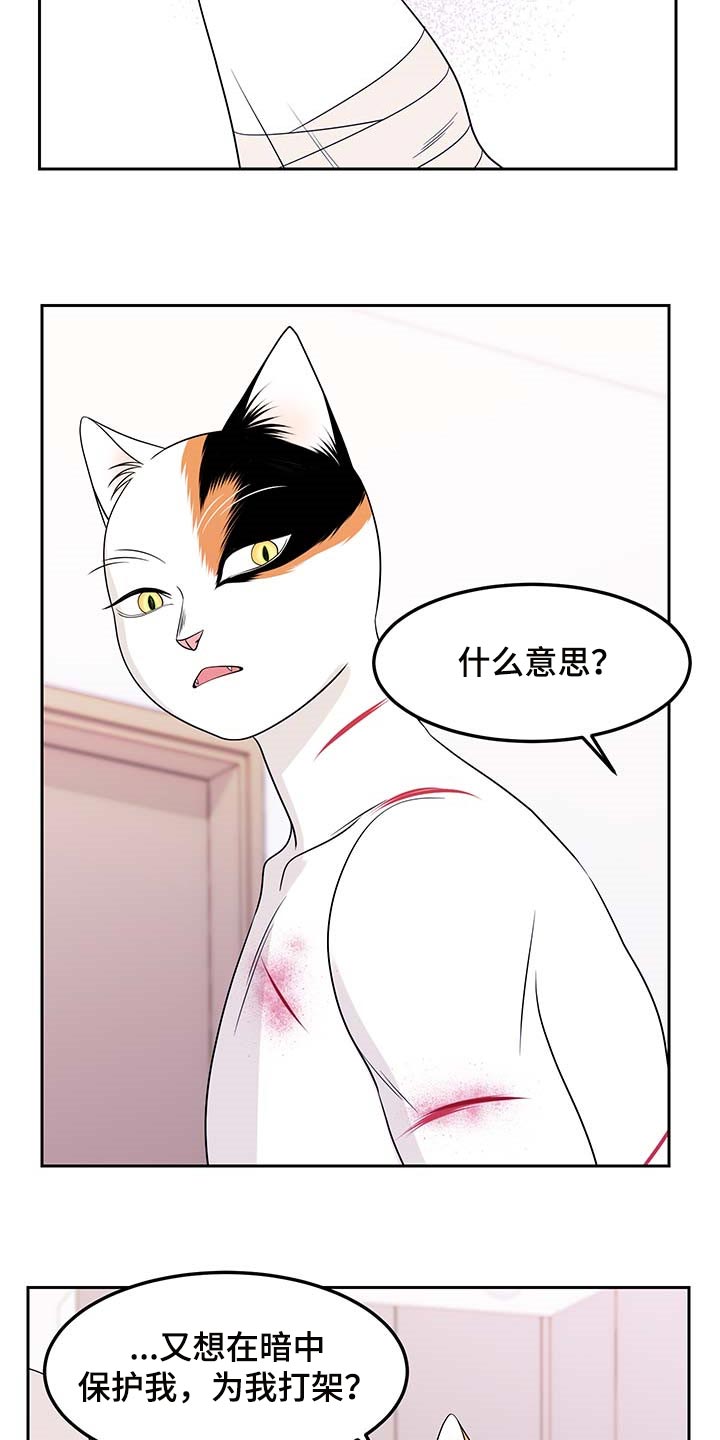 《灵猫欧米伽》漫画最新章节第45章：别哭免费下拉式在线观看章节第【7】张图片