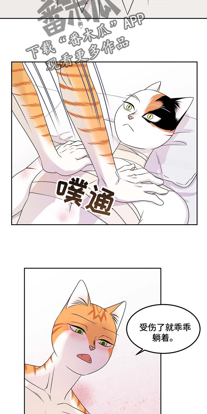 《灵猫欧米伽》漫画最新章节第46章：征服免费下拉式在线观看章节第【12】张图片