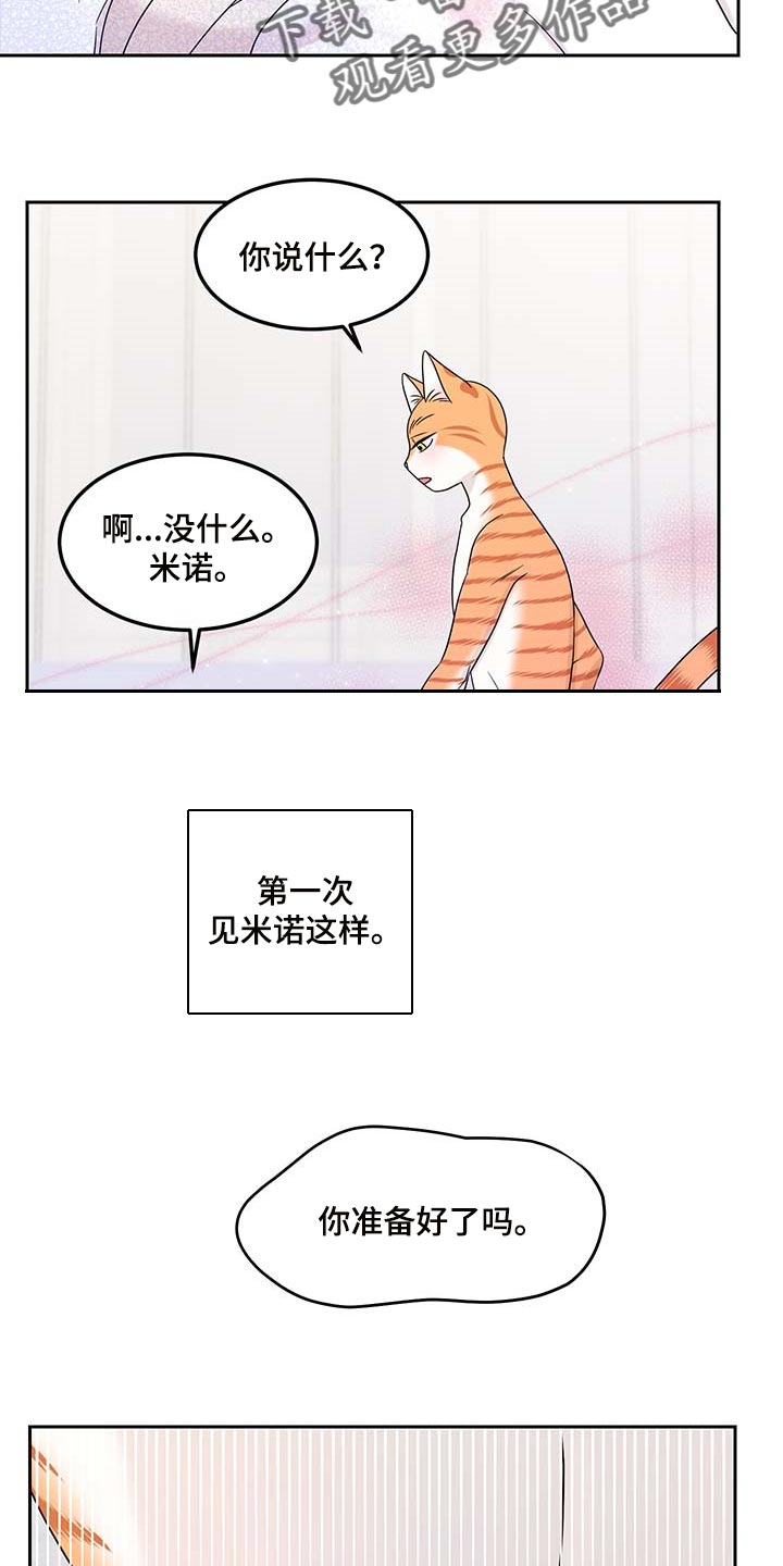 《灵猫欧米伽》漫画最新章节第46章：征服免费下拉式在线观看章节第【5】张图片