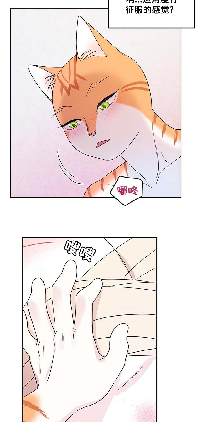 《灵猫欧米伽》漫画最新章节第46章：征服免费下拉式在线观看章节第【9】张图片