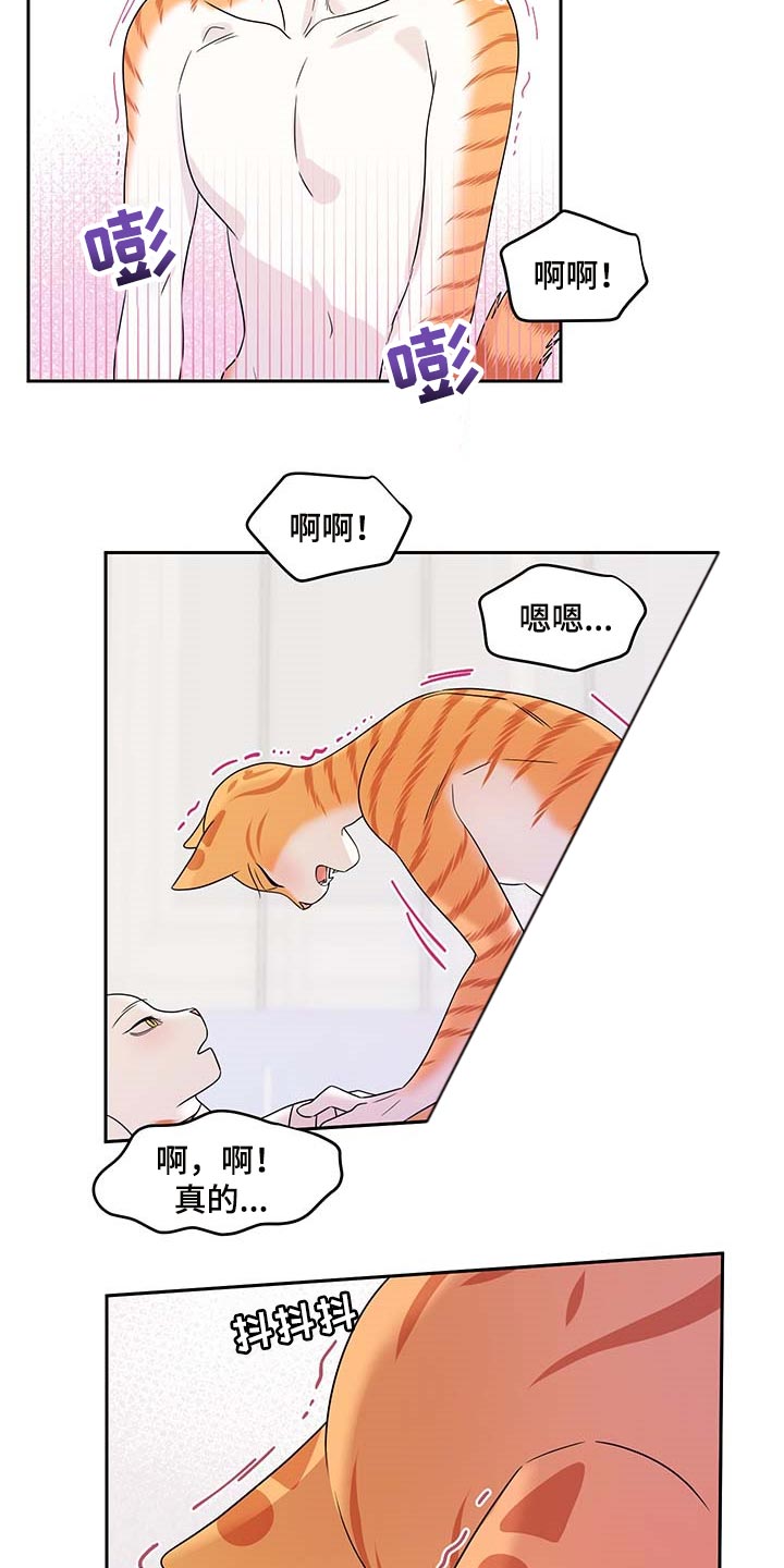 《灵猫欧米伽》漫画最新章节第46章：征服免费下拉式在线观看章节第【2】张图片