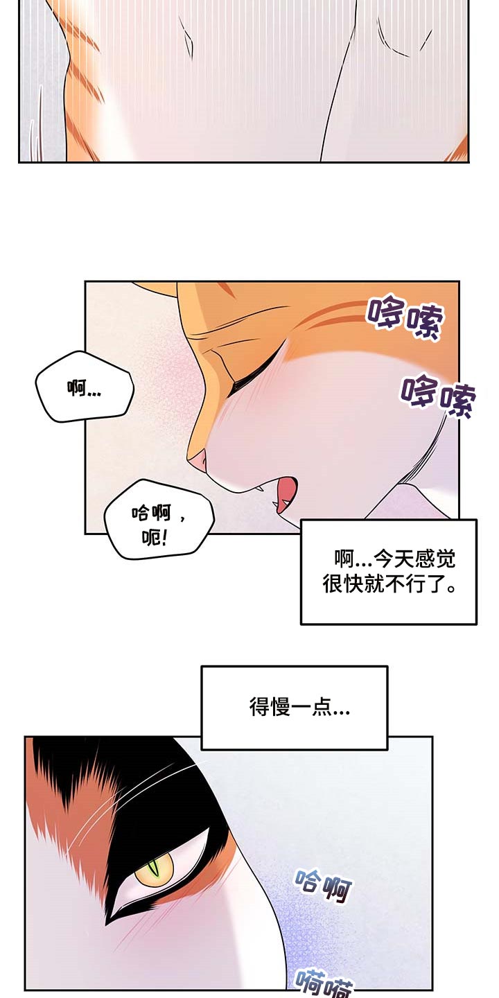 《灵猫欧米伽》漫画最新章节第46章：征服免费下拉式在线观看章节第【4】张图片