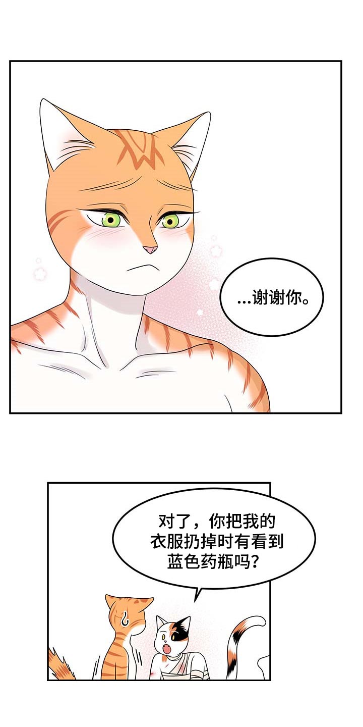 《灵猫欧米伽》漫画最新章节第48章：你慢慢考虑免费下拉式在线观看章节第【13】张图片