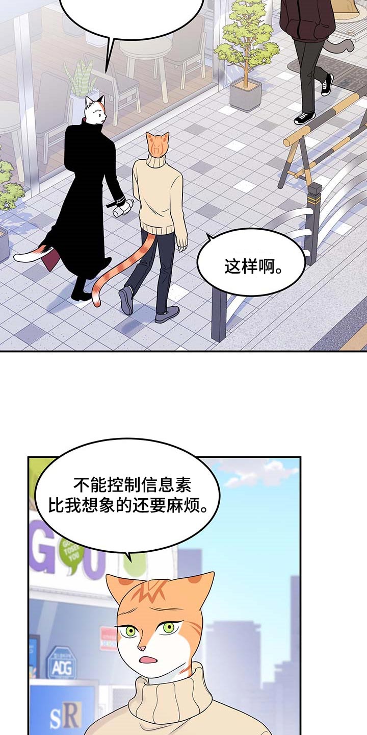 《灵猫欧米伽》漫画最新章节第48章：你慢慢考虑免费下拉式在线观看章节第【5】张图片