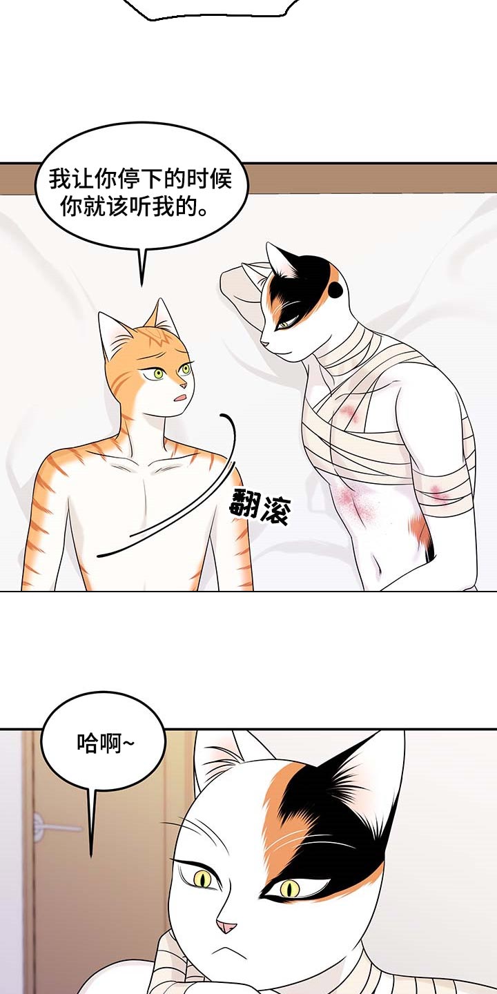 《灵猫欧米伽》漫画最新章节第48章：你慢慢考虑免费下拉式在线观看章节第【20】张图片