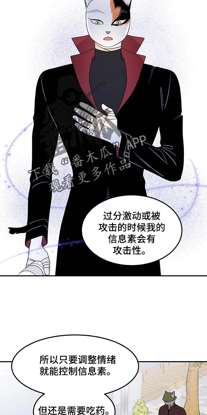 《灵猫欧米伽》漫画最新章节第48章：你慢慢考虑免费下拉式在线观看章节第【6】张图片