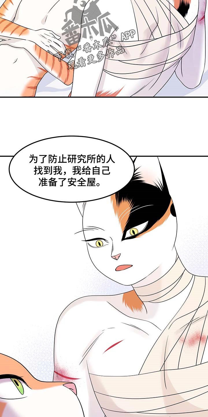 《灵猫欧米伽》漫画最新章节第48章：你慢慢考虑免费下拉式在线观看章节第【17】张图片