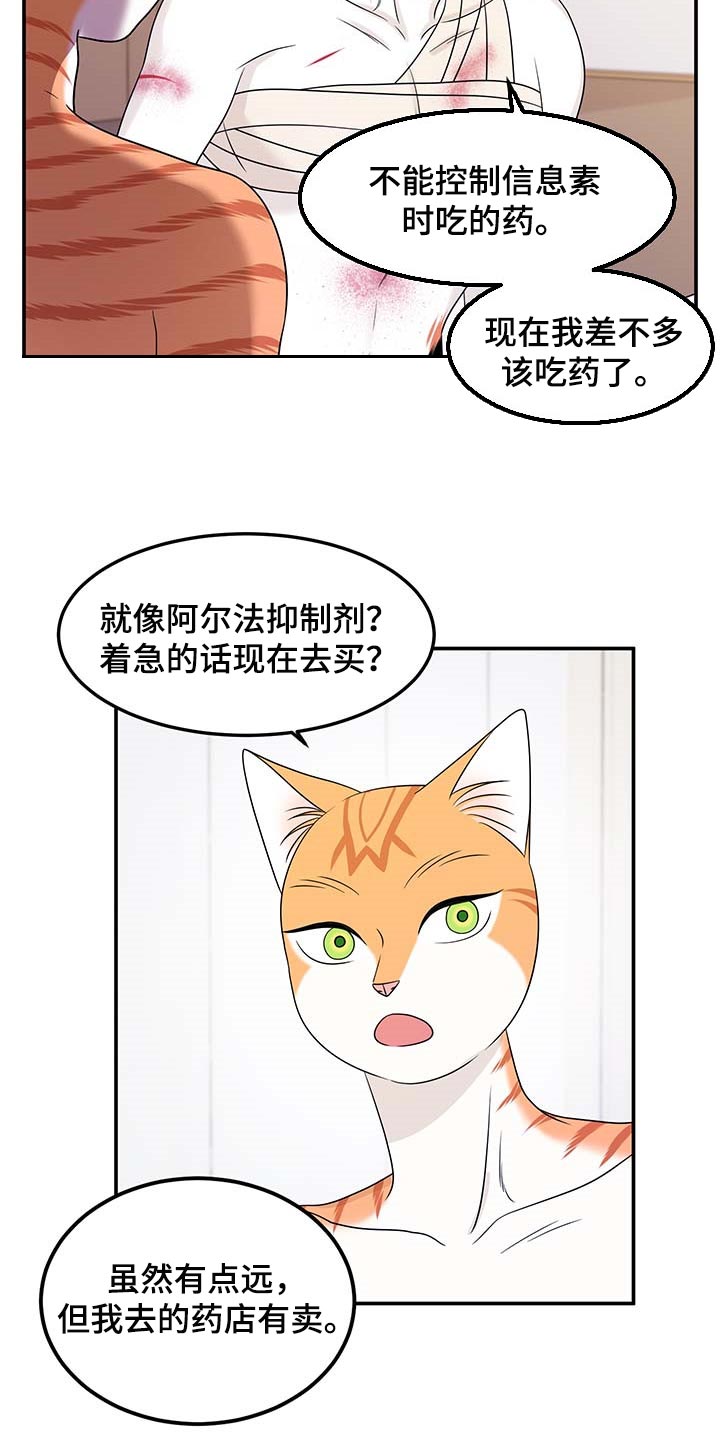 《灵猫欧米伽》漫画最新章节第48章：你慢慢考虑免费下拉式在线观看章节第【11】张图片