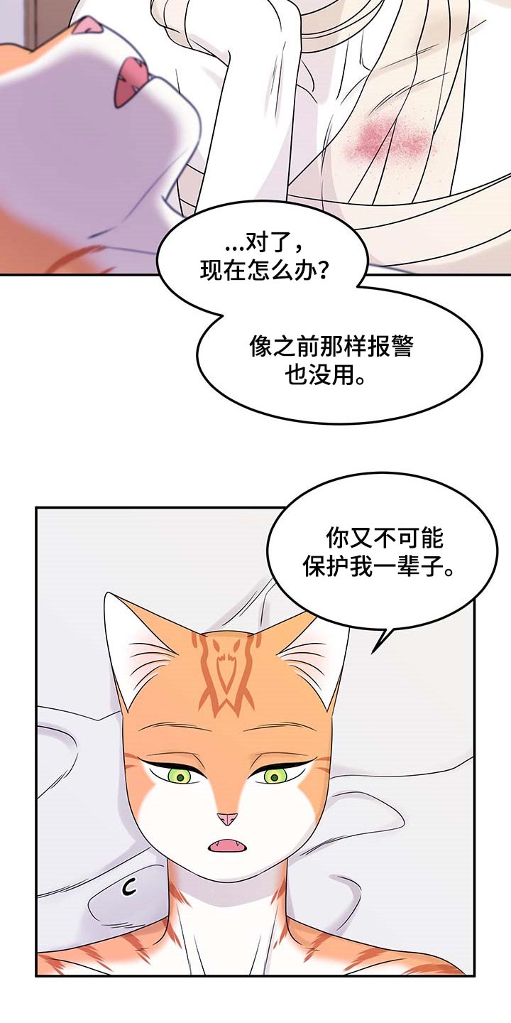 《灵猫欧米伽》漫画最新章节第48章：你慢慢考虑免费下拉式在线观看章节第【19】张图片