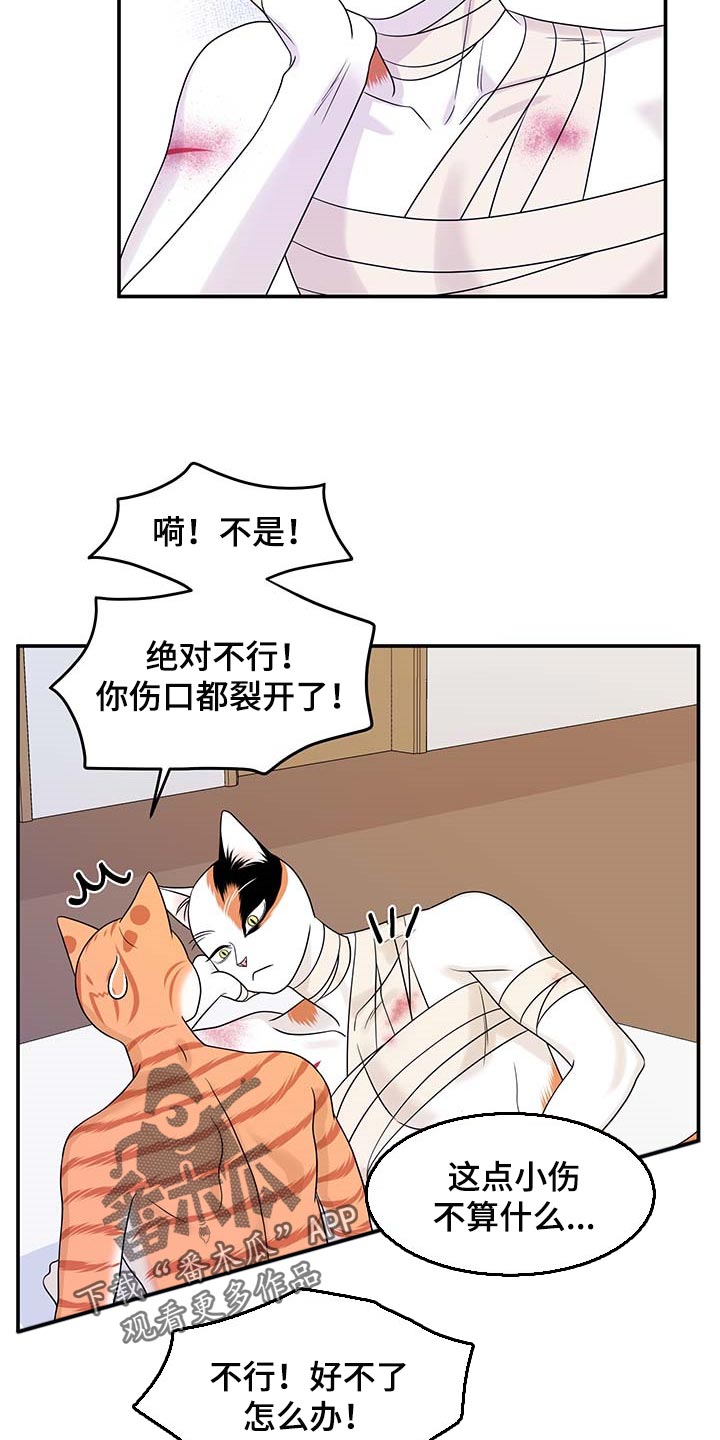 《灵猫欧米伽》漫画最新章节第48章：你慢慢考虑免费下拉式在线观看章节第【21】张图片