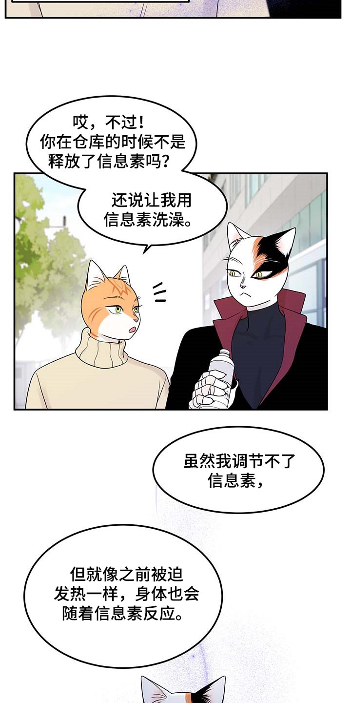 《灵猫欧米伽》漫画最新章节第48章：你慢慢考虑免费下拉式在线观看章节第【7】张图片