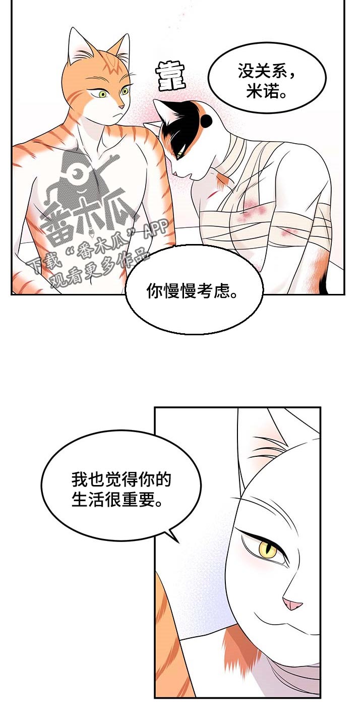 《灵猫欧米伽》漫画最新章节第48章：你慢慢考虑免费下拉式在线观看章节第【14】张图片