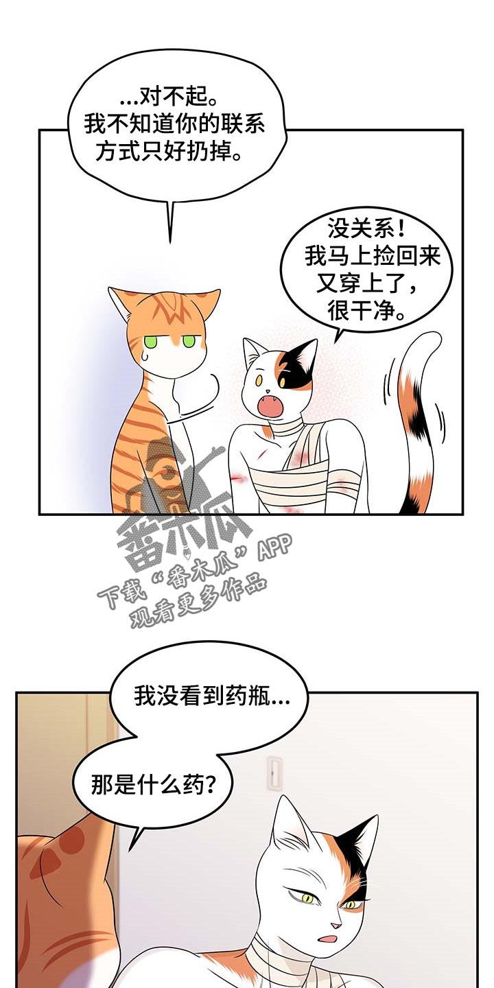 《灵猫欧米伽》漫画最新章节第48章：你慢慢考虑免费下拉式在线观看章节第【12】张图片