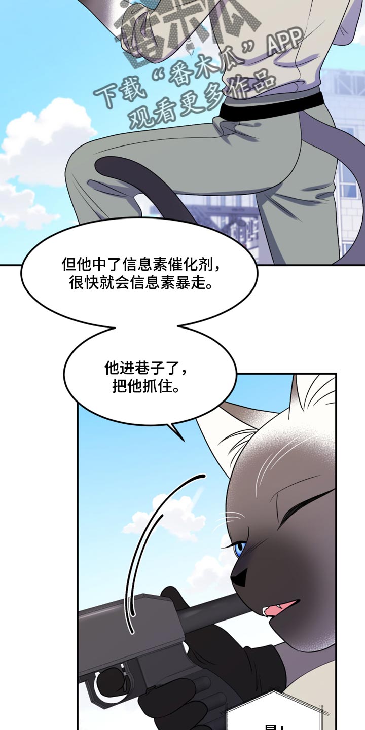 《灵猫欧米伽》漫画最新章节第49章：让我保护你免费下拉式在线观看章节第【31】张图片