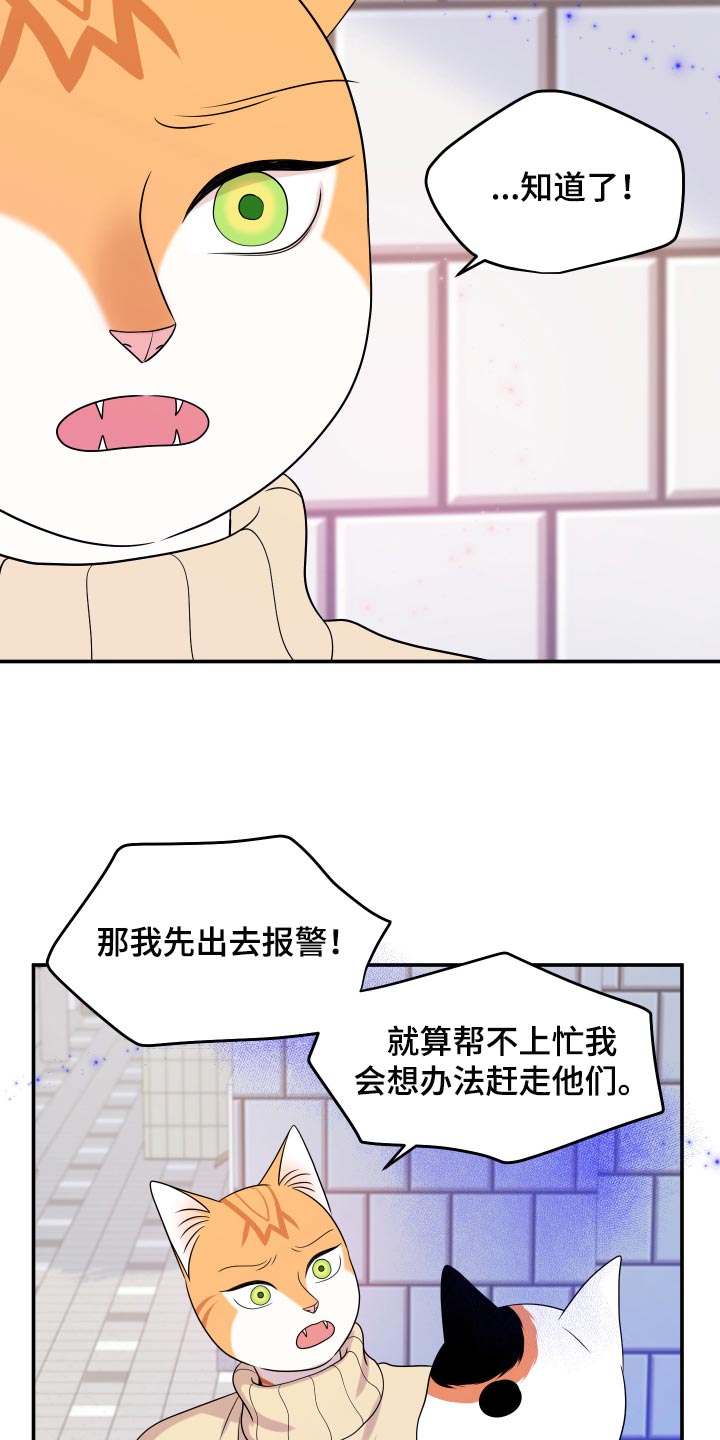 《灵猫欧米伽》漫画最新章节第49章：让我保护你免费下拉式在线观看章节第【7】张图片