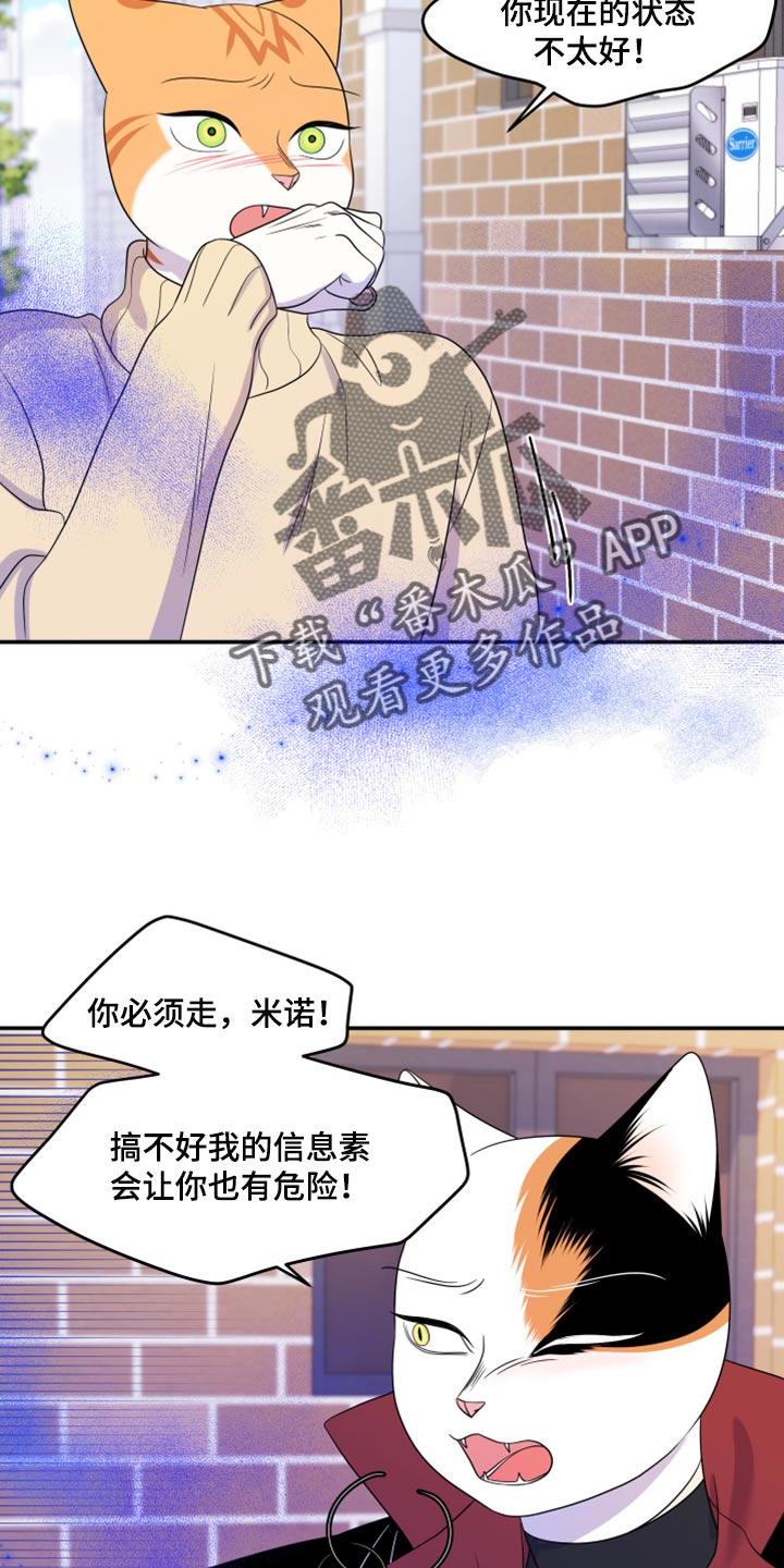 《灵猫欧米伽》漫画最新章节第49章：让我保护你免费下拉式在线观看章节第【27】张图片