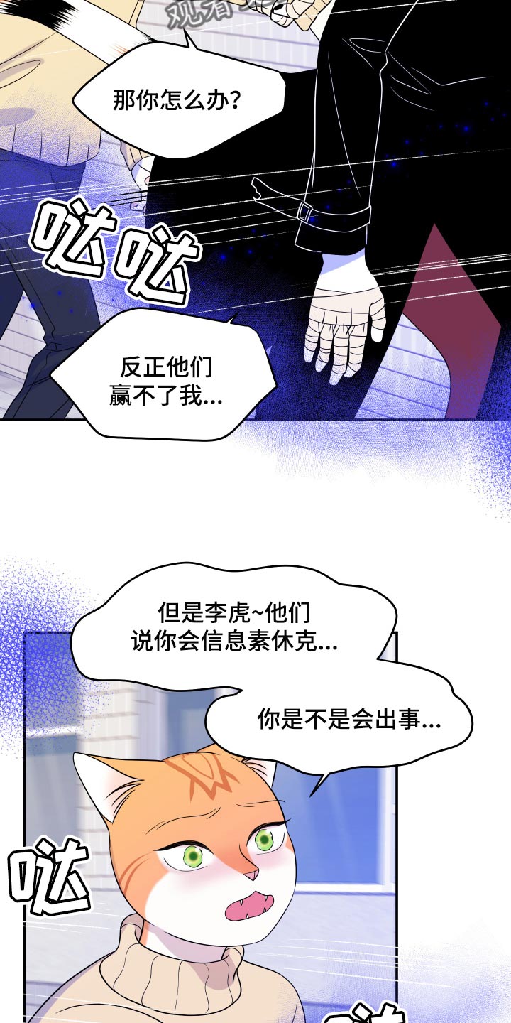 《灵猫欧米伽》漫画最新章节第49章：让我保护你免费下拉式在线观看章节第【12】张图片