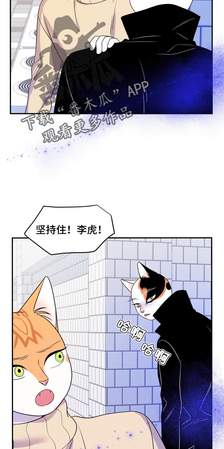 《灵猫欧米伽》漫画最新章节第49章：让我保护你免费下拉式在线观看章节第【6】张图片