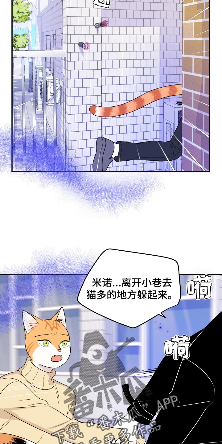 《灵猫欧米伽》漫画最新章节第49章：让我保护你免费下拉式在线观看章节第【13】张图片